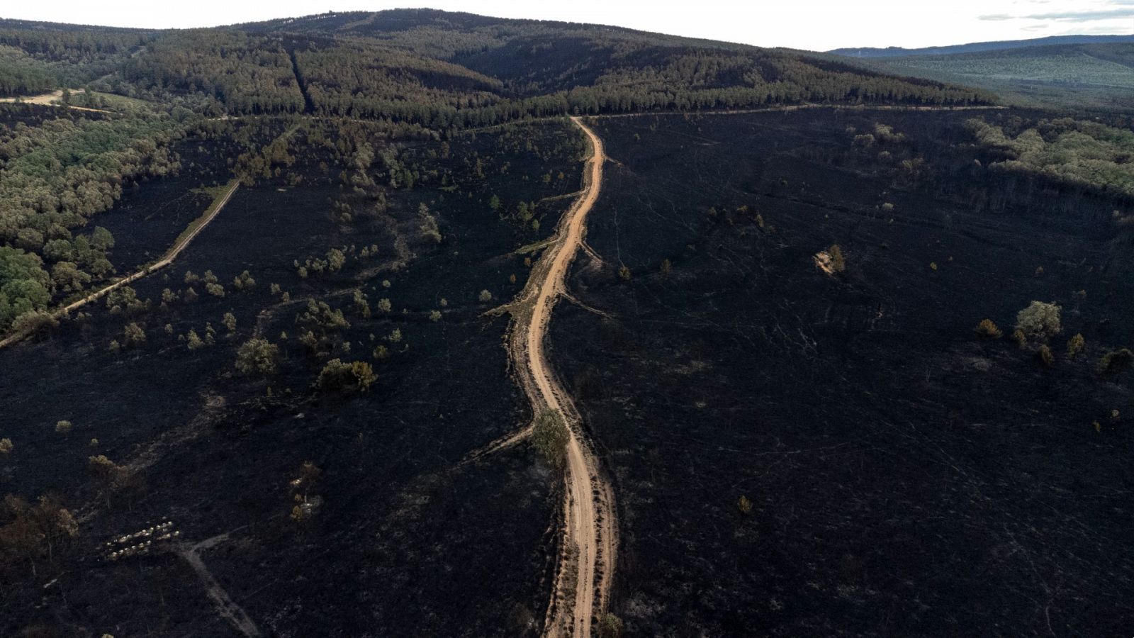 Los vecinos de Zamora denuncian la falta de medios y la Junta defiende su gestión en el incendio de Sierra Culebra