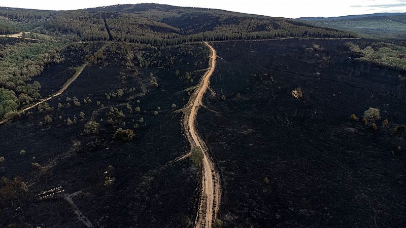 Los vecinos de Zamora denuncian la falta de medios y la Junta defiende su gestión en el incendio de Sierra de la Culebra