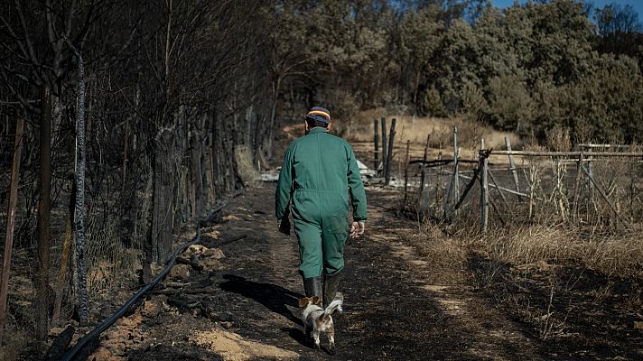 Informativo 24h - El Gobierno anuncia la declaración de zona catastrófica para seis comunidades por los incendios