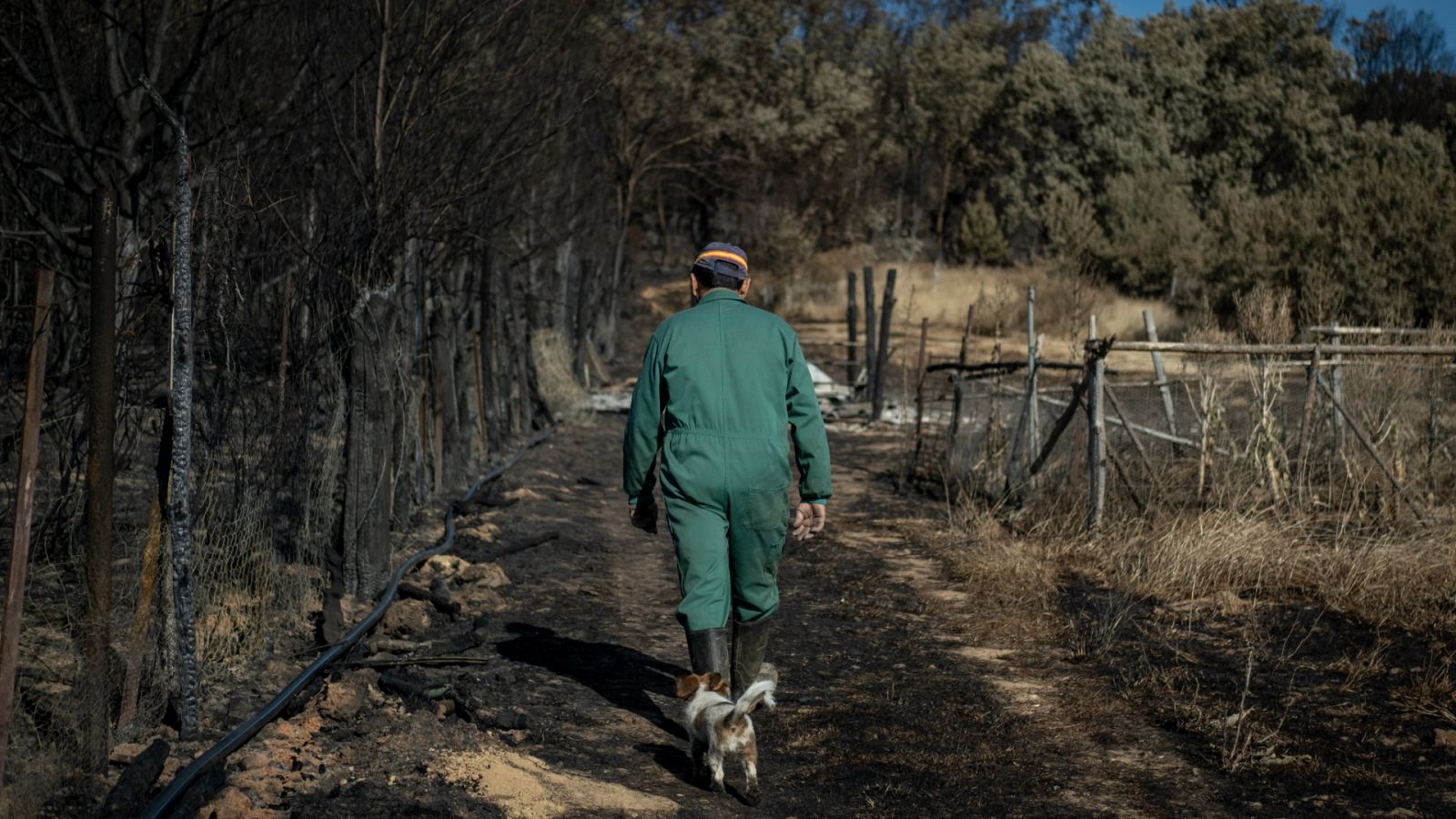 El Gobierno anuncia la declaración de zona catastrófica para seis comunidades autónomas por los incendios