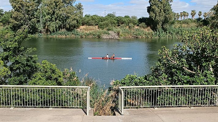 Informativo 24h - Encuentran el cadáver de una mujer desaparecida en Sevilla y detienen a su expareja