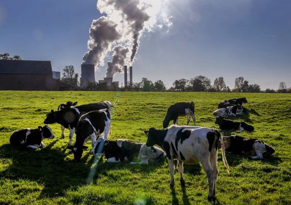 Los efectos del metano sobre el medio ambiente