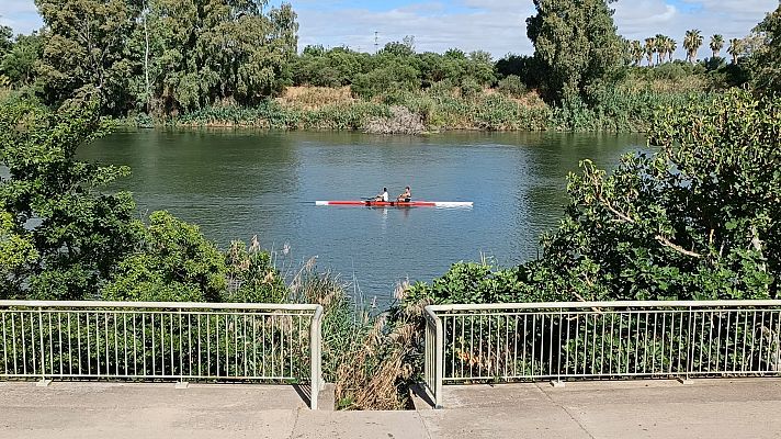 Telediario 1 - Encuentran el cadáver de una mujer desaparecida en Sevilla y detienen a su expareja