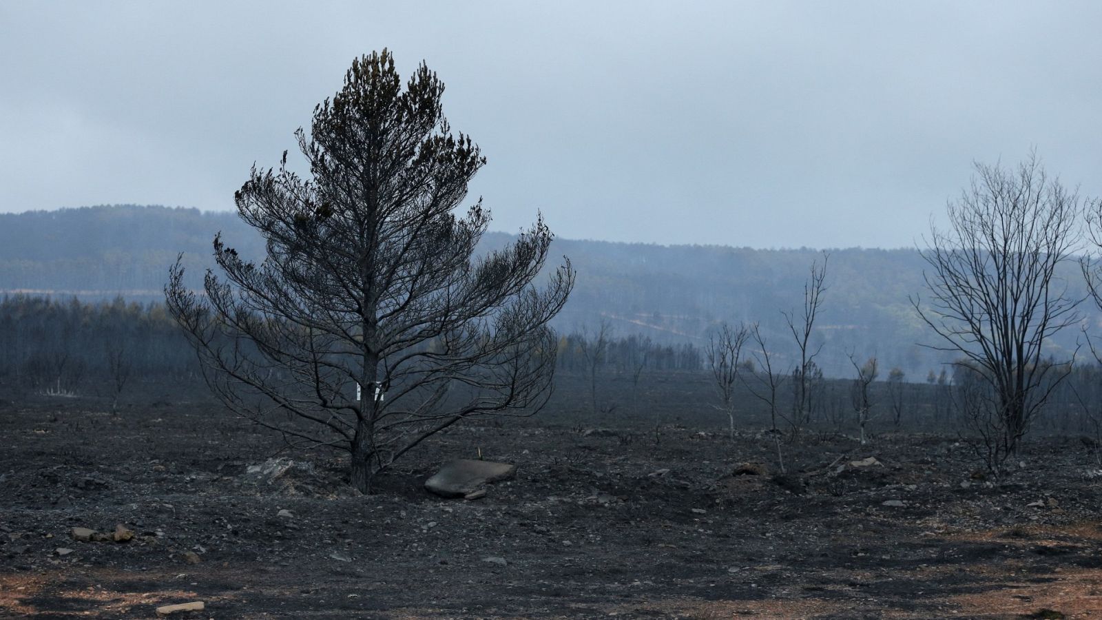 El incendio de la Sierra de la Culebra devasta a los vecinos