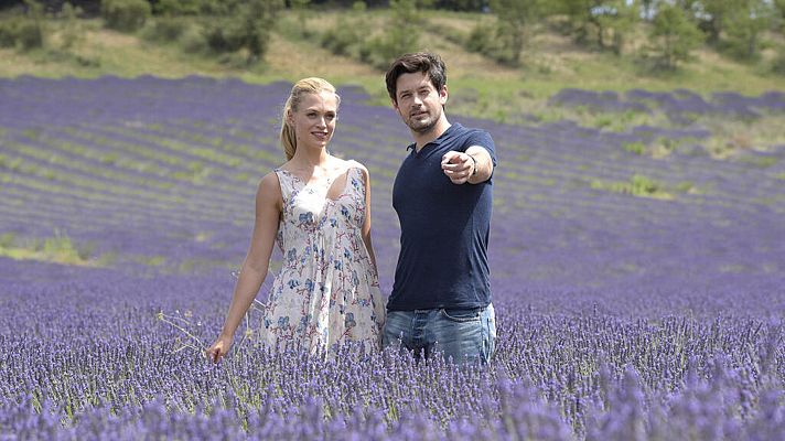 Cine internacional - Un verano en la provenza