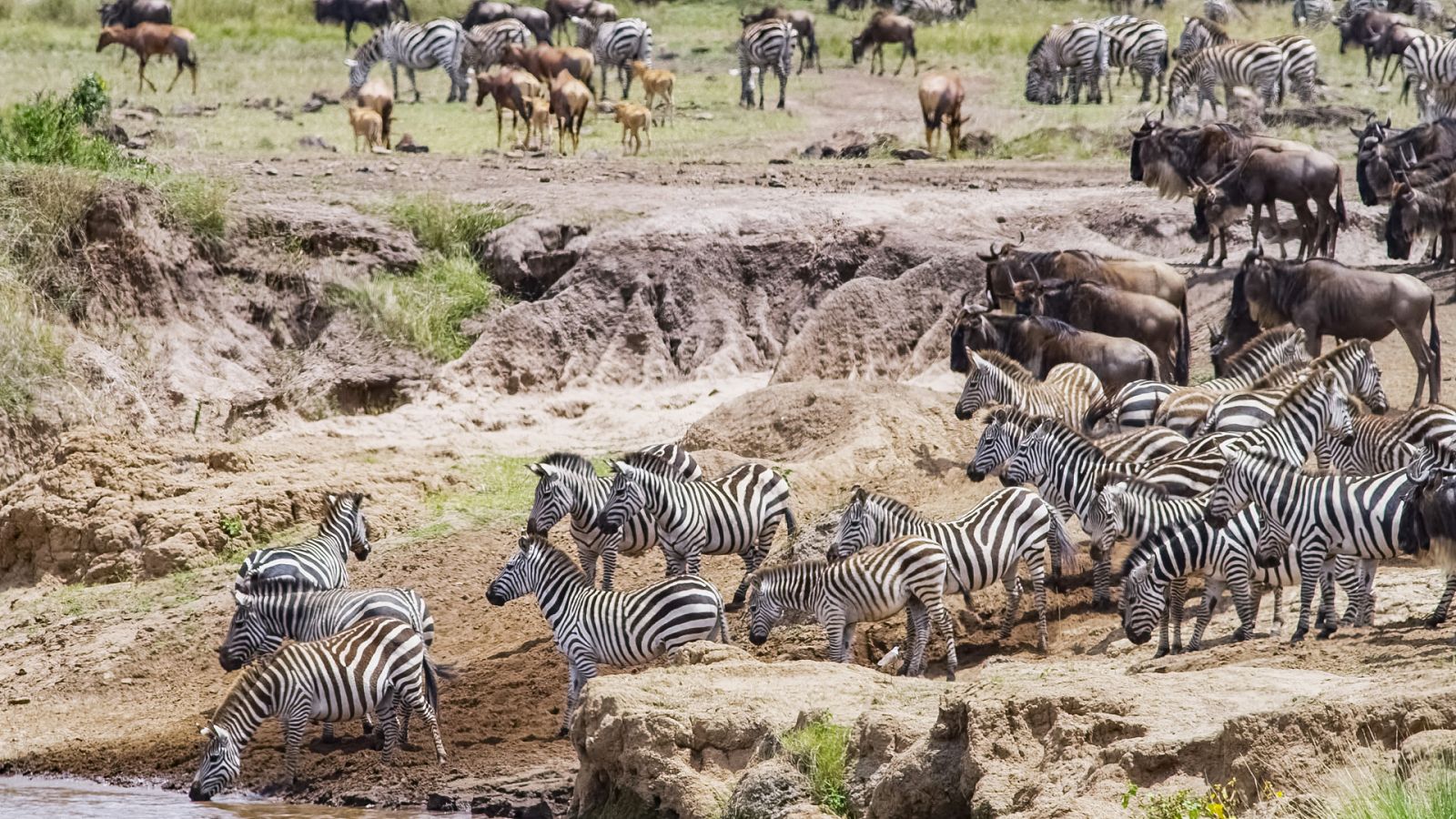 El Masai Mara. Historias de la sabana - Somos documentales - Documental en RTVE