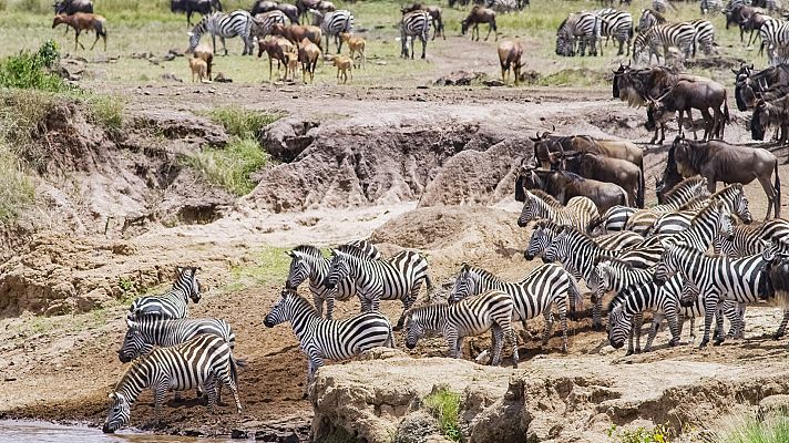 Somos Documentales - El Masai Mara. Historias de la sabana