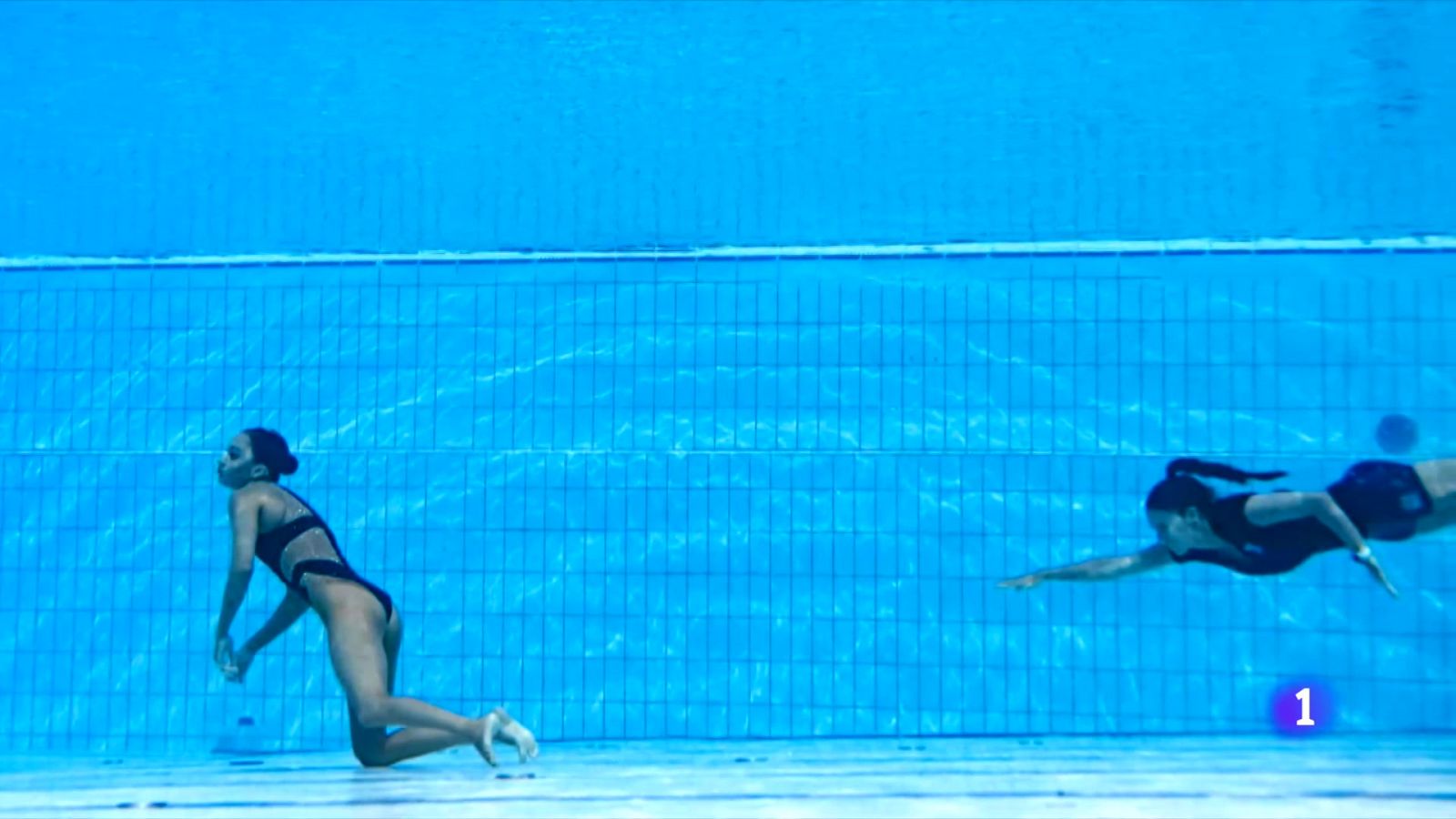 Susto en el Mundial: desmayo de la nadadora Anita Álvarez