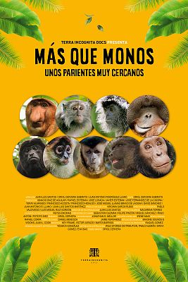 Somos Documentales - Más que monos. Unos parientes muy cercanos