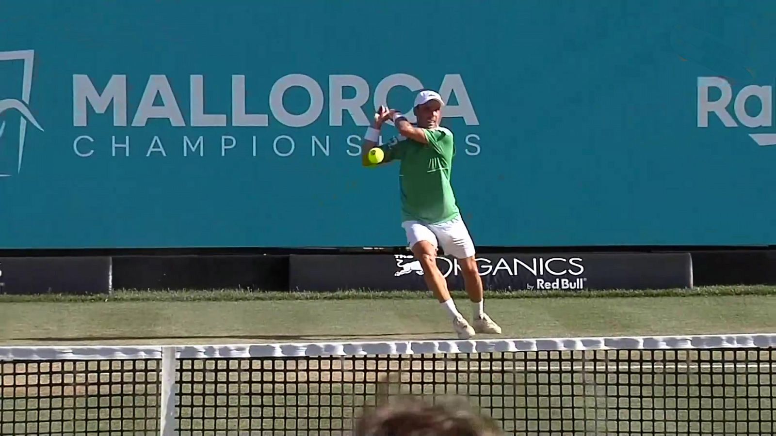 Tenis ATP 250 Torneo Mallorca. 1/4 final D. Medveded R. Bautista