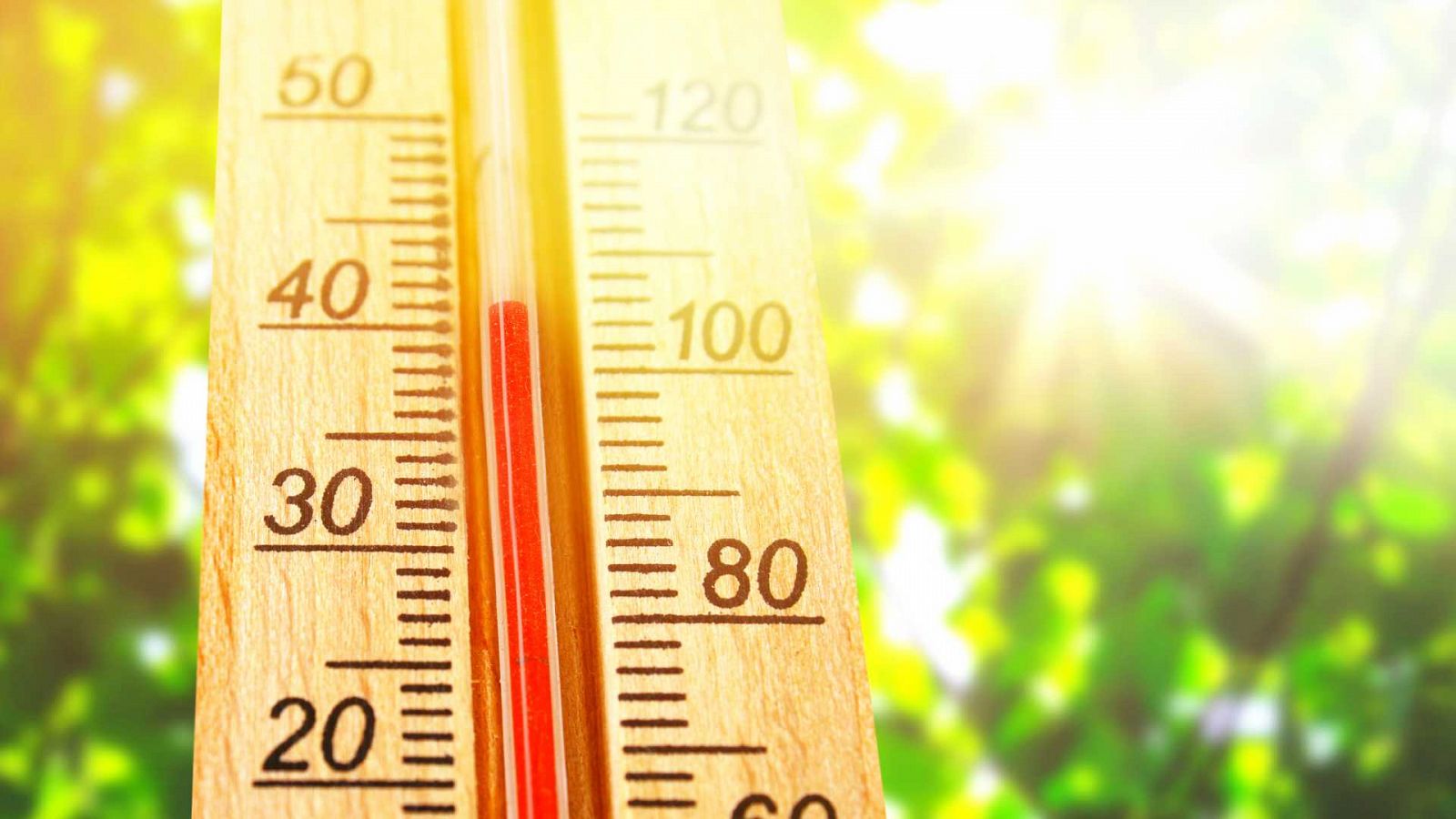 Consejos para prevenir la insolación y los golpes de calor