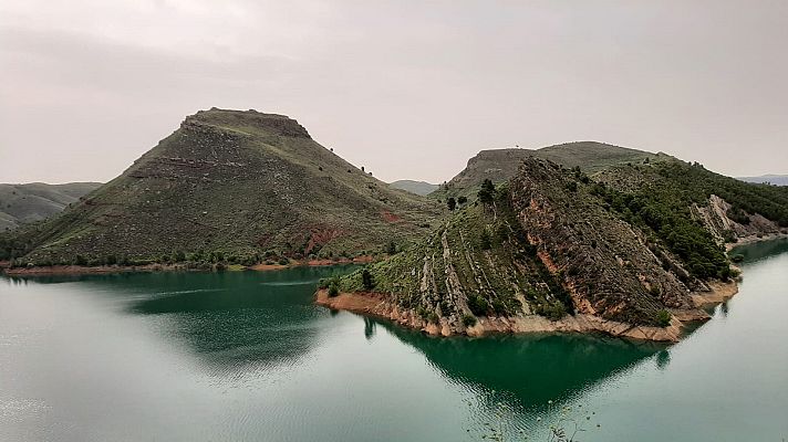 El escarabajo verde - Aguas de vida