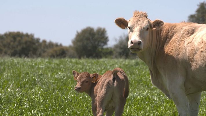 Agrosfera - Agrosfera - 25/06/22