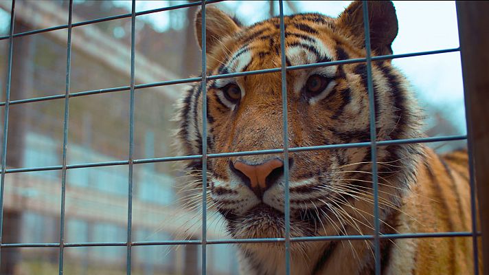 Animales embajadores: tras las cámaras