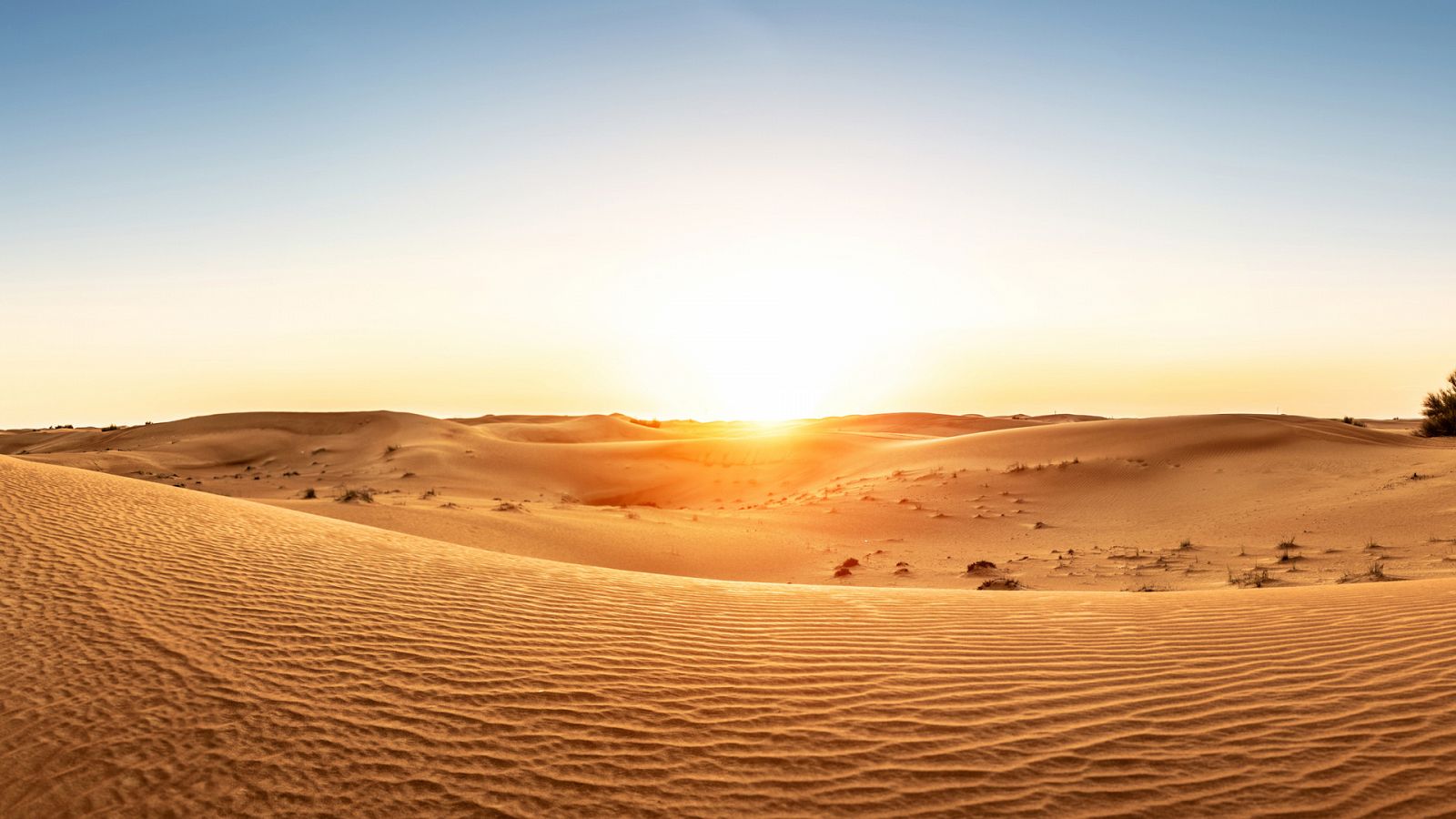 Turismo rural en el mundo - Emiratos Árabes Unidos: Desde Dubái hacia el desierto de Arabia - Documental en RTVE