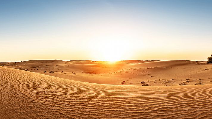 Emiratos Árabes Unidos: De Dubái al desierto de Arabia.