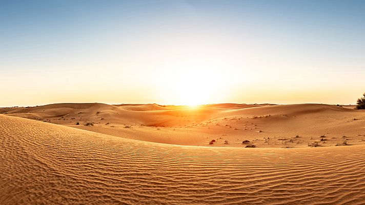 Turismo rural en el mundo - Emiratos Árabes Unidos: De Dubái al desierto de Arabia.