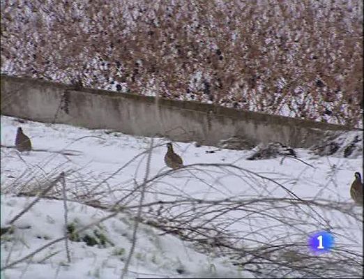 Informativo Telerioja - Informativo Telerioja - 08/01/10