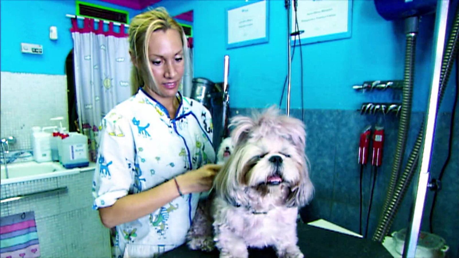 Aquí hay trabajo - 28/06/22 - ver ahora