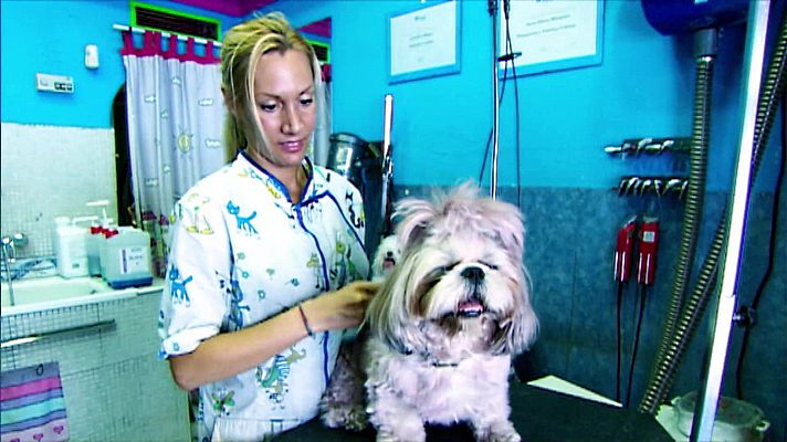 Aquí hay trabajo - Aquí hay trabajo - 28/06/22