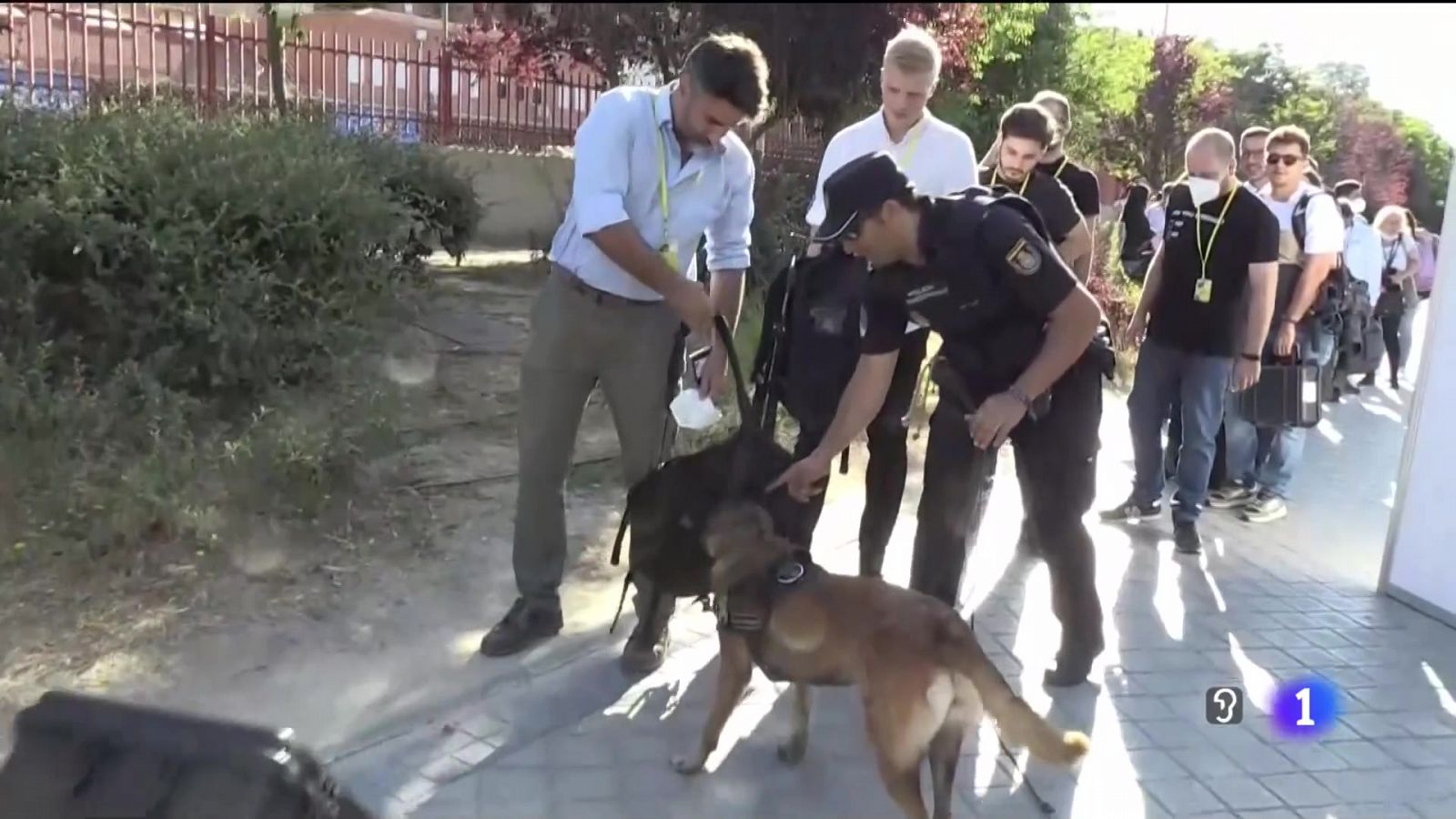 Canarias en 2' - 28/06/2022