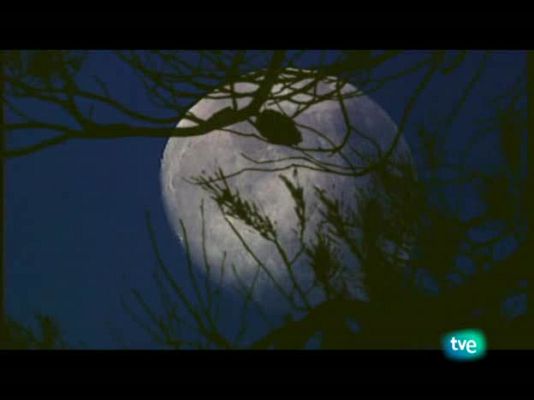 Jara y sedal - La isla del Boc