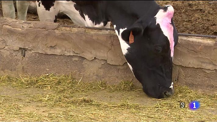 Telecanarias - Canarias en 2' - 30/06/2022