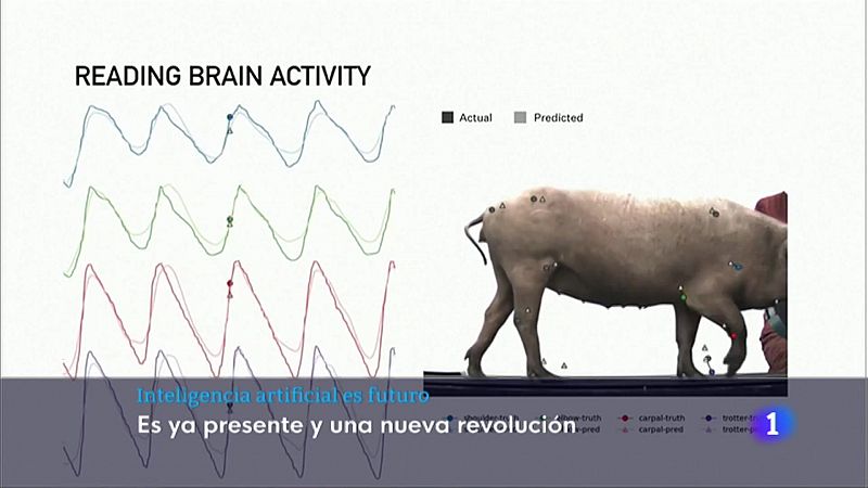 Informativo Telerioja 2 - 30/06/22 - Ver ahora