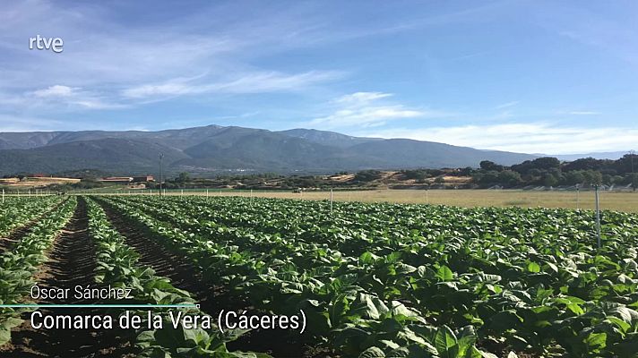 El tiempo - Descenso casi generalizado de las temperaturas