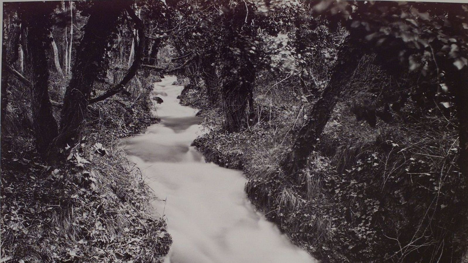 Atención Obras - Sebastiao Salgado y las Colecciones Reales - Ver ahora