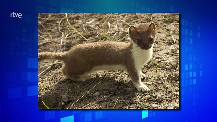 Saber y ganar - Saber y ganar - 01/07/22