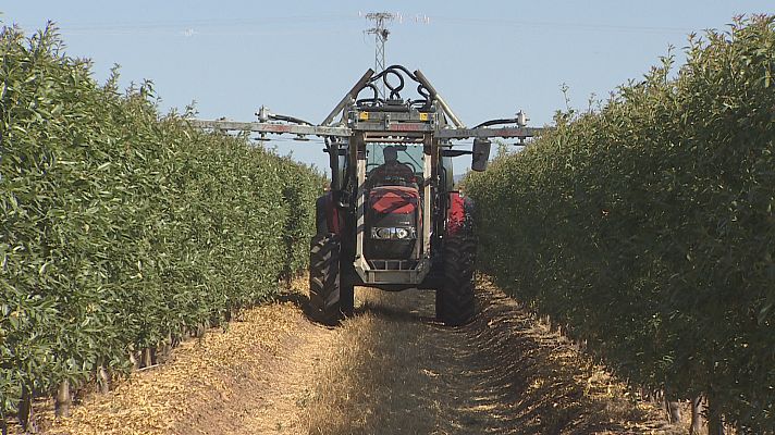 Agrosfera - Agrosfera - 02/07/22