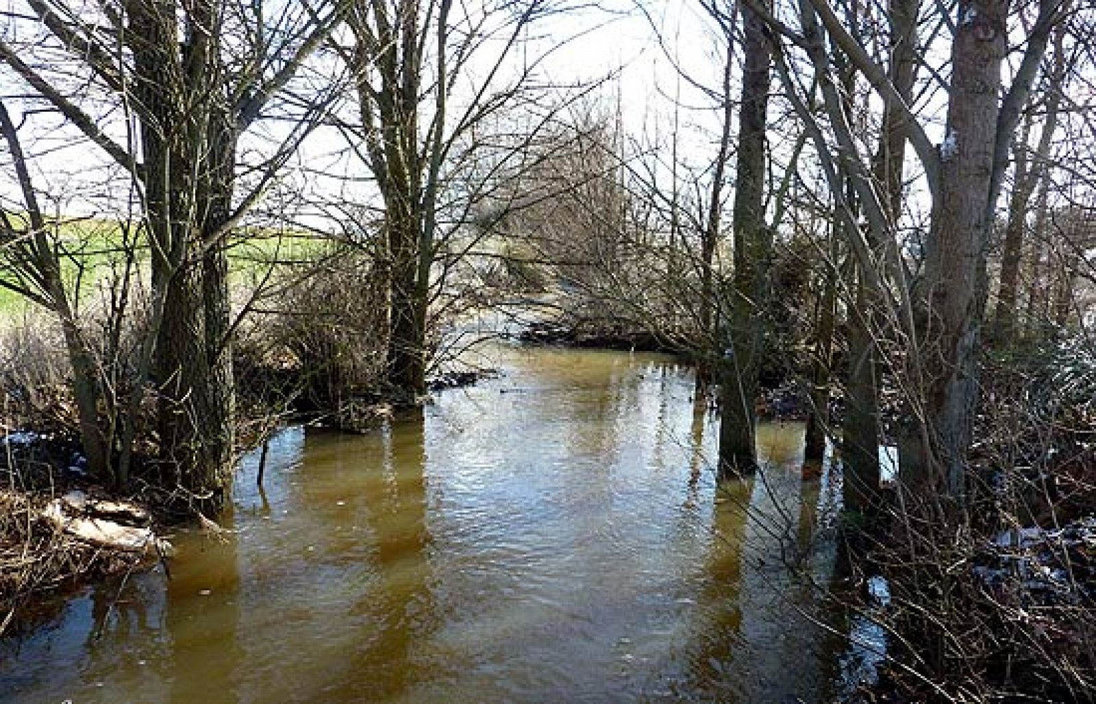 El agua del trasvase llega a las Tablas