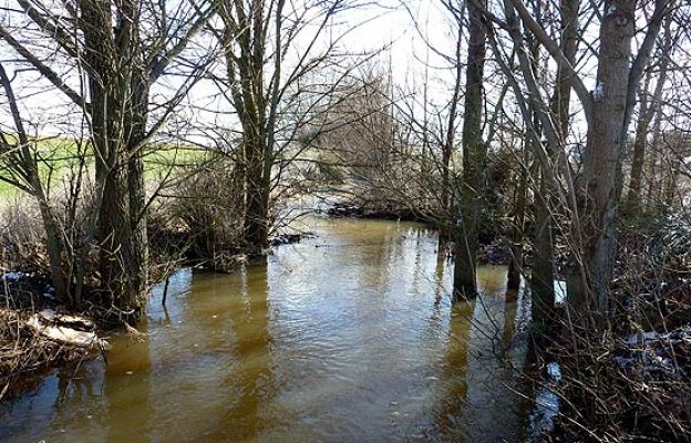 El agua llega a las Tablas