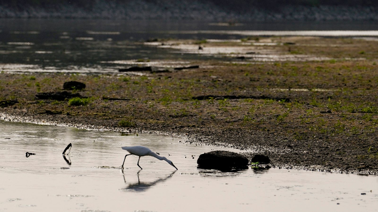 Italia | Piamonte y Lombardía limitan el uso del agua ante el avance de la sequía