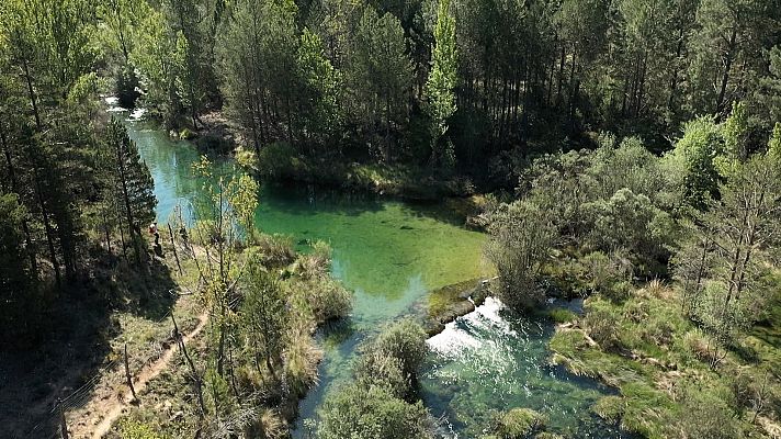 Parque Natural del Alto Tajo. La Guadalajara más salvaje