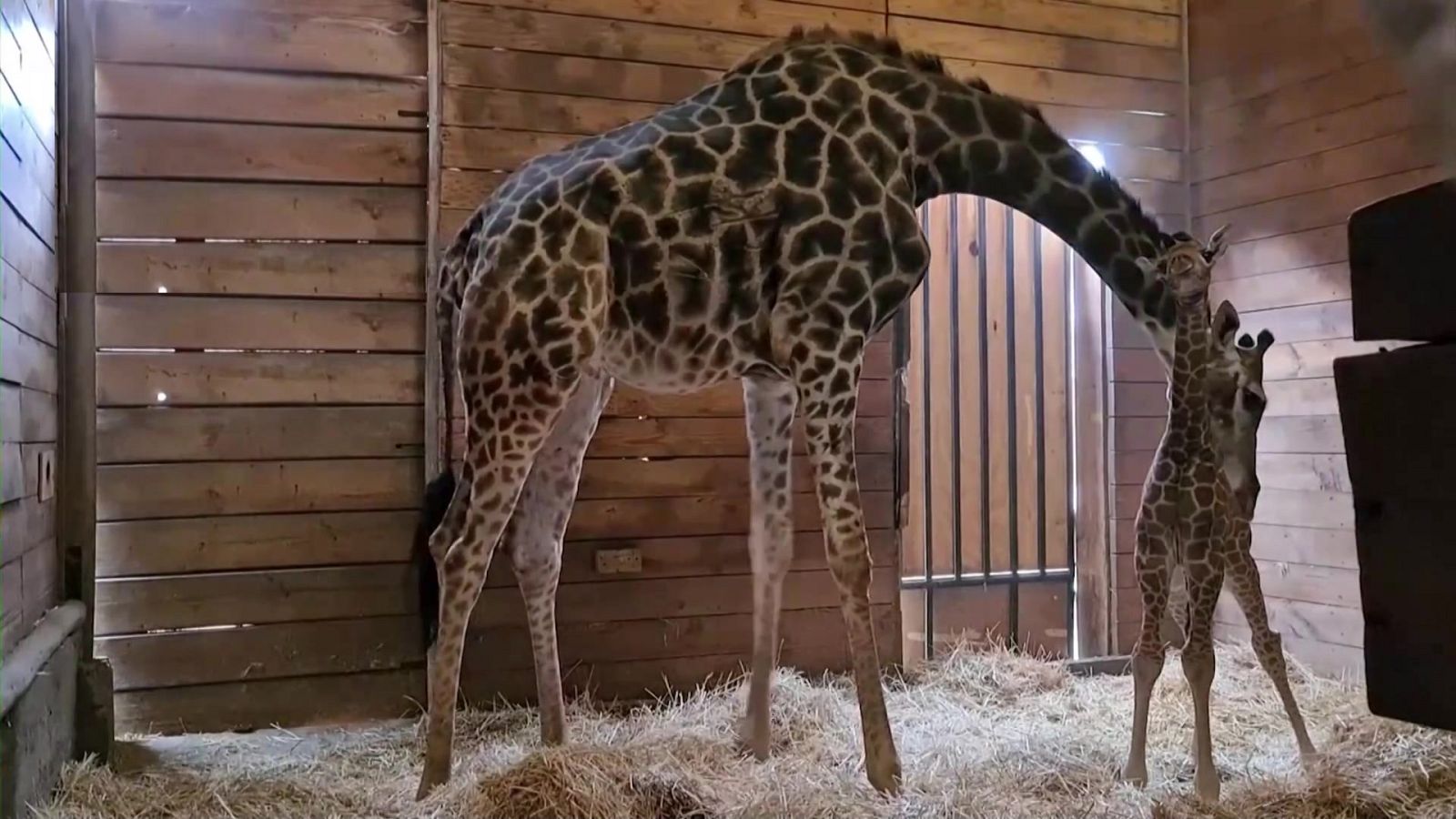 Aquí la Tierra - 04/07/22 - ver ahora