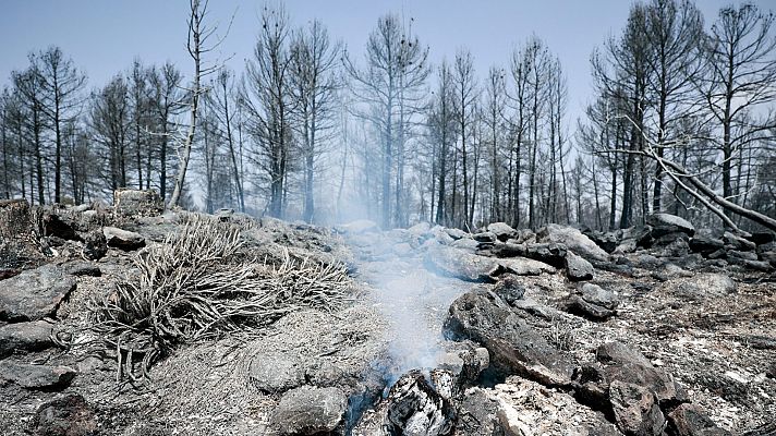 El incendio de Venta del Moro evoluciona favorablemente