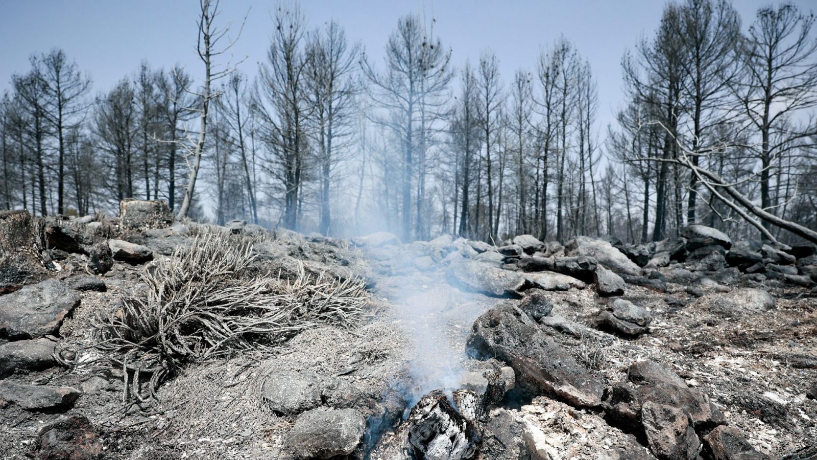 El incendio de Venta del Moro, en Valencia, evoluciona favorablemente gracias a la lluvia