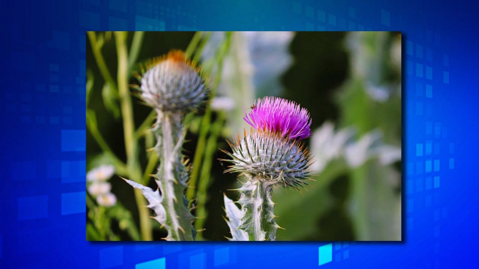 Saber y ganar. Edición de fin de semana - 16/07/22 - ver ahora