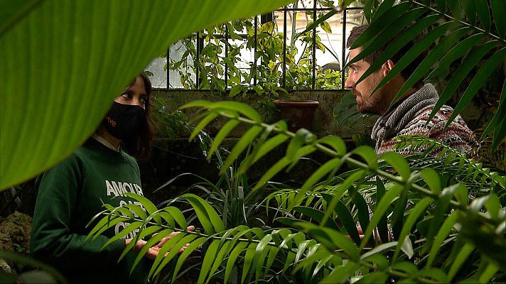 Cámara abierta - Cap. Especial: educación en TikTok, Javier Peña...