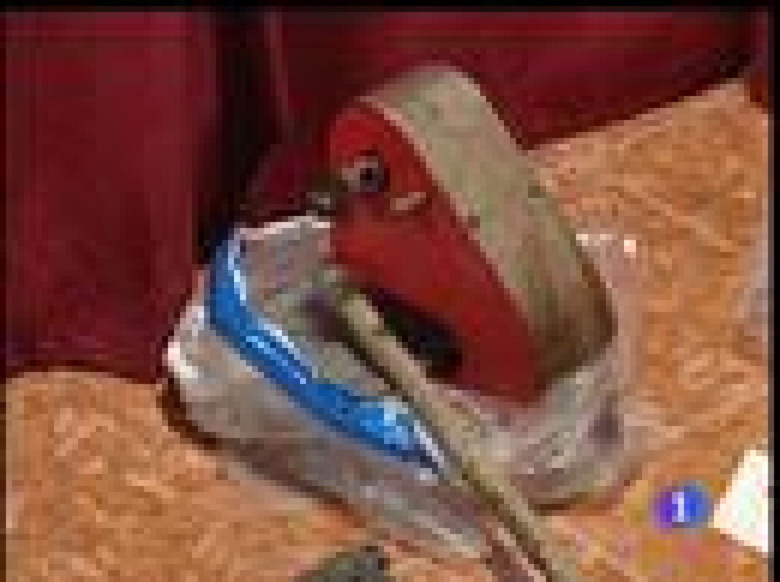 En la furgoneta de ETA han encontrado pentrita y un arsenal