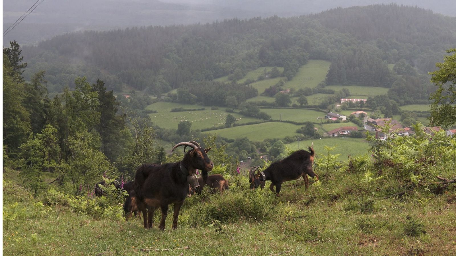 Aquí la Tierra - 08/07/22 - ver ahora
