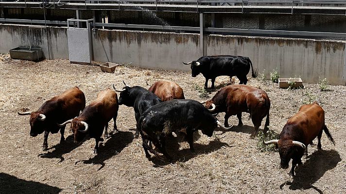 Telediario Fin de Semana - El encierrillo de San Fermín, una tradición centenaria