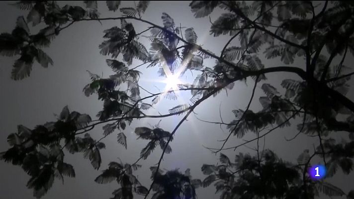 Telecanarias - Canarias en 2' - 09/07/2022