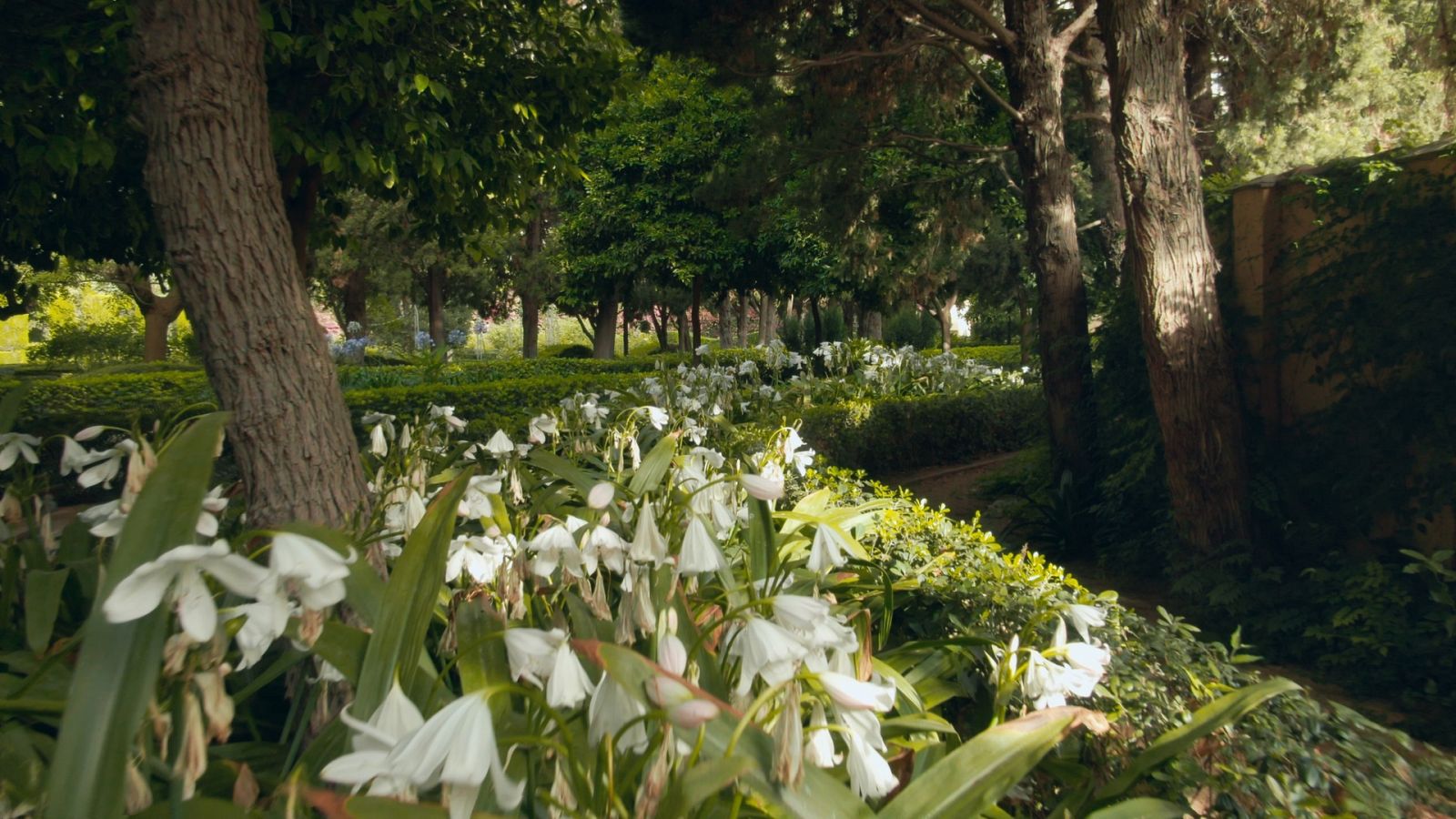 Jardines con historia - Valencia. Jardines de Monforte - Documental en RTVE