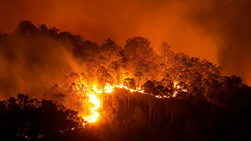 Informe Semanal - Antes de que se queme el bosque - ver ahora