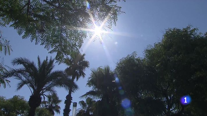 L'Informatiu - L'Informatiu - 11/07/2022