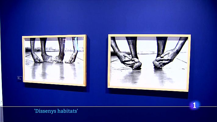 L'Informatiu - Chema Madoz i Helena Almeida, a Foto Colectania