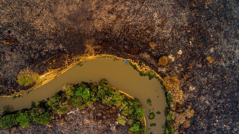 La Amazonía brasileña bate un récord de deforestación en los primeros seis meses de 2022
